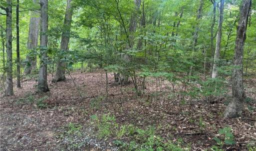 Photo #4 of 708 Salem, Thomasville, NC 2.5 acres