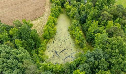 Photo #9 of 4616 Holden, Greensboro, NC 25.9 acres