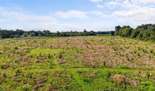 Photo #17 of 6209 Phillippi, Julian, NC 1.4 acres