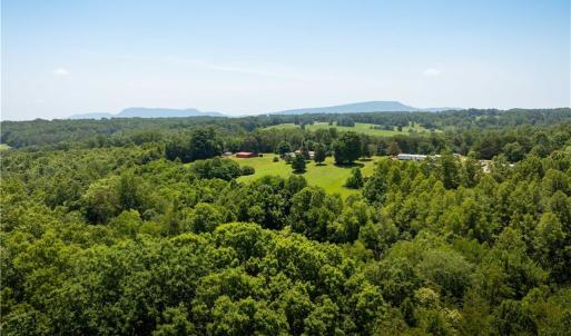Photo #42 of 3.9Ac Pell, Westfield, NC 4.0 acres