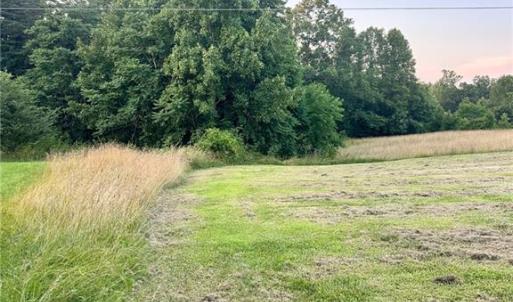 Photo #13 of 3.9Ac Pell, Westfield, NC 4.0 acres