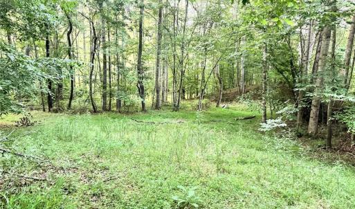 Photo #16 of 3.9Ac Pell, Westfield, NC 4.0 acres