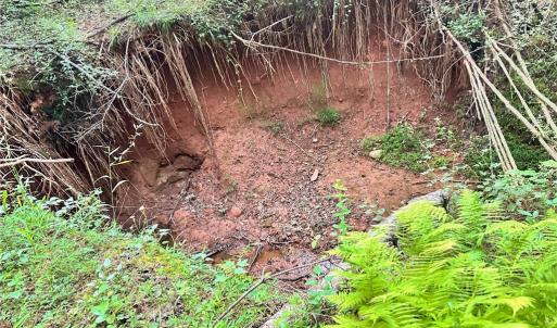 Photo #24 of 3.9Ac Pell, Westfield, NC 4.0 acres