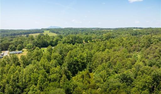 Photo #40 of 3.9Ac Pell, Westfield, NC 4.0 acres