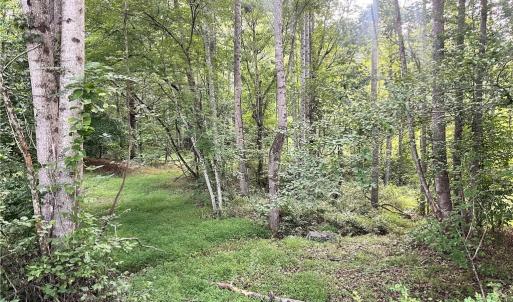 Photo #29 of 3.9Ac Pell, Westfield, NC 4.0 acres