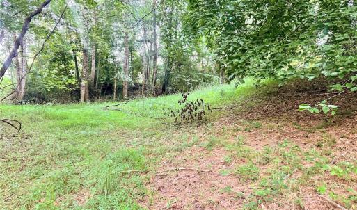 Photo #25 of 3.9Ac Pell, Westfield, NC 4.0 acres