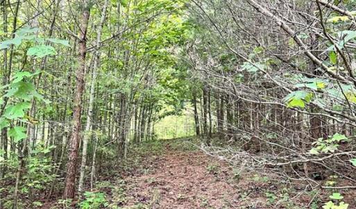 Photo #21 of 3.9Ac Pell, Westfield, NC 4.0 acres
