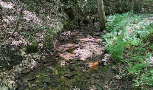 Photo #23 of 268 Town Creek, Eden, NC 80.0 acres