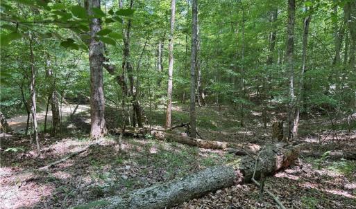 Photo #27 of 268 Town Creek, Eden, NC 80.0 acres