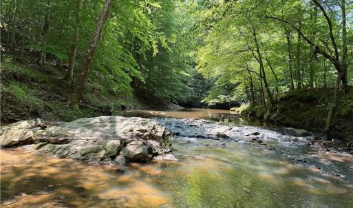 Photo #13 of 268 Town Creek, Eden, NC 80.0 acres