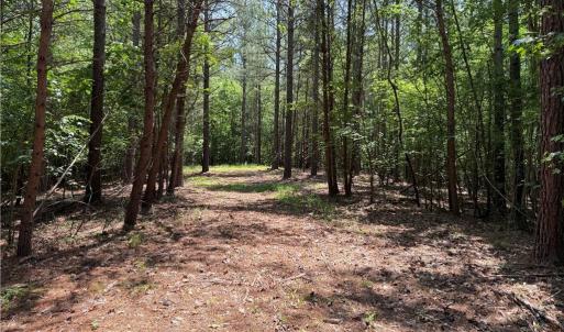 Photo #17 of 268 Town Creek, Eden, NC 80.0 acres