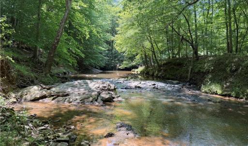 Photo #12 of 268 Town Creek, Eden, NC 80.0 acres