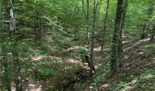 Photo #26 of 268 Town Creek, Eden, NC 80.0 acres