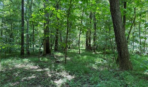 Photo #22 of 268 Town Creek, Eden, NC 80.0 acres