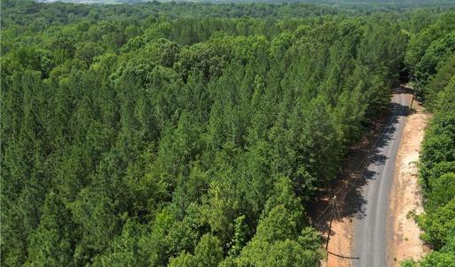 Photo #7 of 268 Town Creek, Eden, NC 80.0 acres