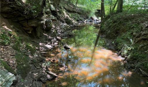Photo #36 of 268 Town Creek, Eden, NC 80.0 acres