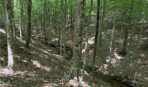 Photo #28 of 268 Town Creek, Eden, NC 80.0 acres