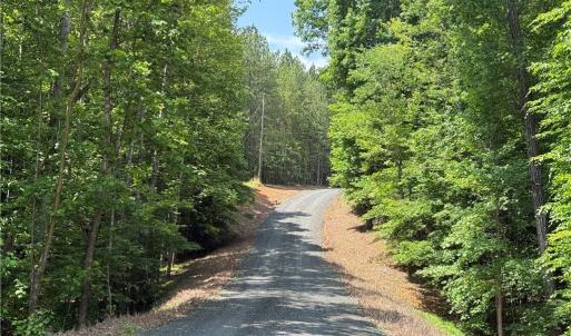 Photo #5 of 268 Town Creek, Eden, NC 80.0 acres