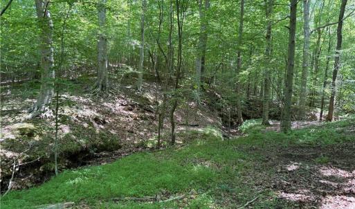 Photo #20 of 268 Town Creek, Eden, NC 80.0 acres