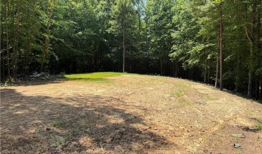 Photo #9 of 268 Town Creek, Eden, NC 80.0 acres
