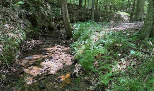 Photo #24 of 268 Town Creek, Eden, NC 80.0 acres