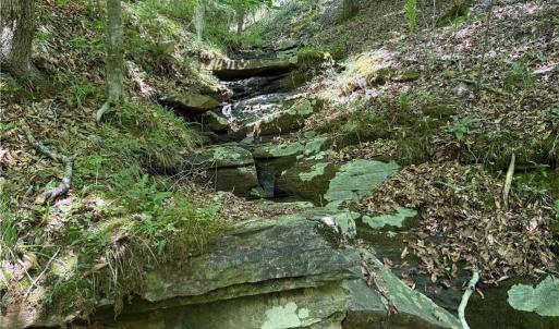 Photo #34 of 268 Town Creek, Eden, NC 80.0 acres