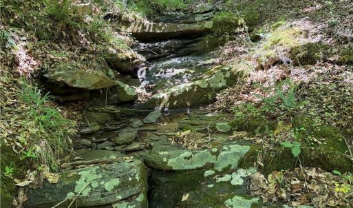 Photo #33 of 268 Town Creek, Eden, NC 80.0 acres