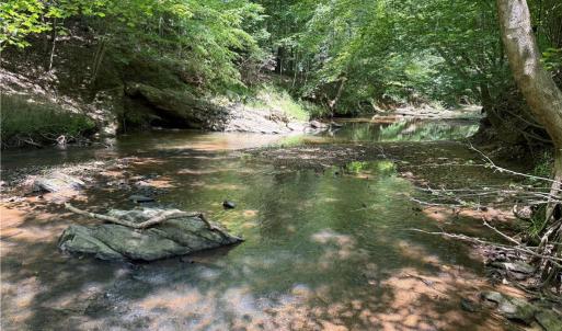 Photo #14 of 268 Town Creek, Eden, NC 80.0 acres