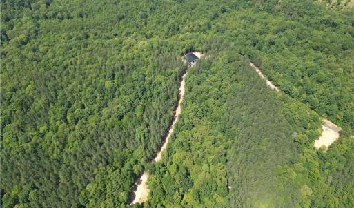 Photo #45 of 268 Town Creek, Eden, NC 80.0 acres