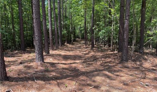 Photo #18 of 268 Town Creek, Eden, NC 80.0 acres