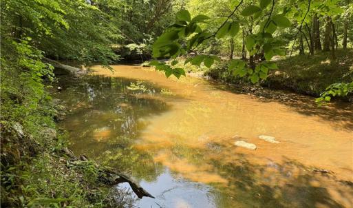 Photo #15 of 268 Town Creek, Eden, NC 80.0 acres