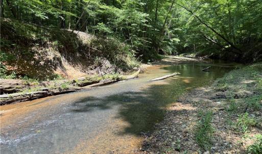Photo #11 of 268 Town Creek, Eden, NC 80.0 acres