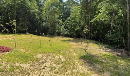 Photo #44 of 268 Town Creek, Eden, NC 80.0 acres