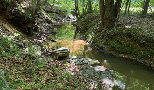 Photo #35 of 268 Town Creek, Eden, NC 80.0 acres