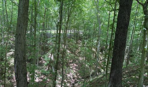 Photo #31 of 268 Town Creek, Eden, NC 80.0 acres