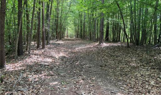 Photo #29 of 268 Town Creek, Eden, NC 80.0 acres