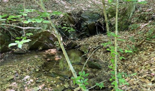 Photo #25 of 268 Town Creek, Eden, NC 80.0 acres