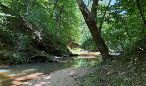 Photo #21 of 268 Town Creek, Eden, NC 80.0 acres