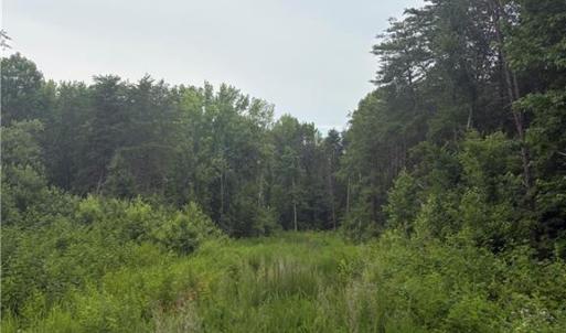 Photo #3 of 185 Trenton, Kernersville, NC 10.0 acres