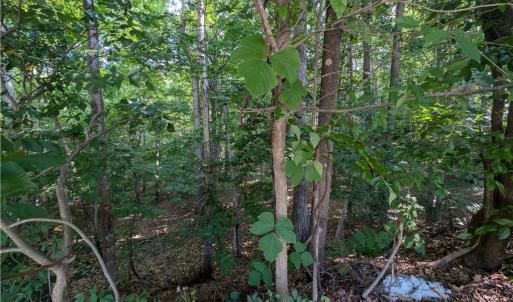 Photo #3 of 210 Birchwood, Mocksville, NC 0.5 acres