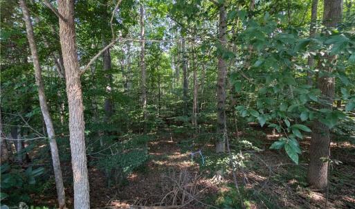 Photo #5 of 210 Birchwood, Mocksville, NC 0.5 acres