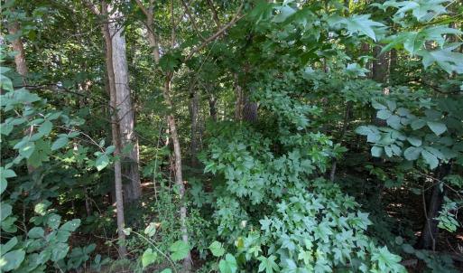 Photo #4 of 210 Birchwood, Mocksville, NC 0.5 acres