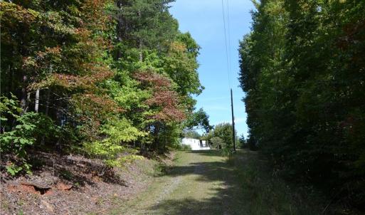 Photo #23 of 1075 Cook Ridge, Germanton, NC 43.2 acres