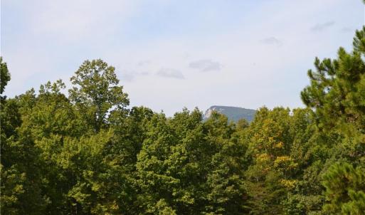 Photo #2 of 1075 Cook Ridge, Germanton, NC 43.2 acres