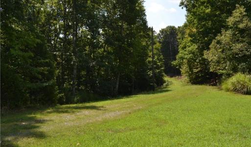 Photo #6 of 1075 Cook Ridge, Germanton, NC 43.2 acres