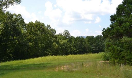 Photo #7 of 1075 Cook Ridge, Germanton, NC 43.2 acres