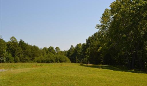 Photo #3 of 1075 Cook Ridge, Germanton, NC 43.2 acres
