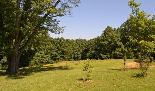 Photo #32 of 1075 Cook Ridge, Germanton, NC 43.2 acres