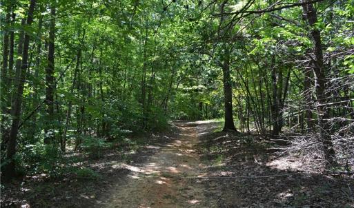 Photo #20 of 1075 Cook Ridge, Germanton, NC 43.2 acres