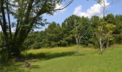 Photo #9 of 1075 Cook Ridge, Germanton, NC 43.2 acres